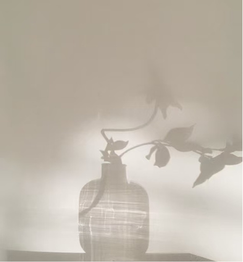 美学风格3